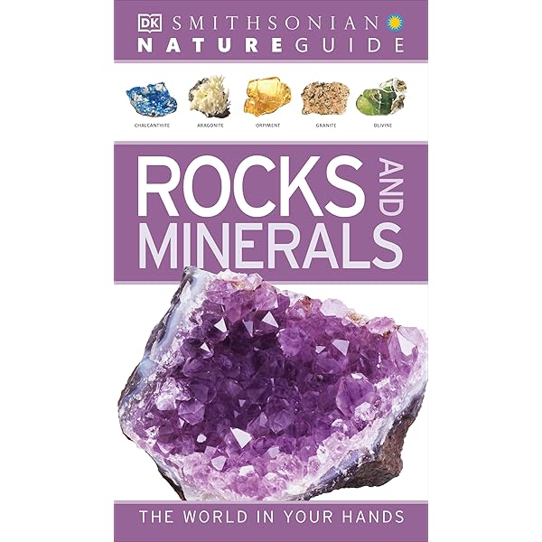 Handbooks Gestones : CALLY HALL: Aazon.in - Foto 7