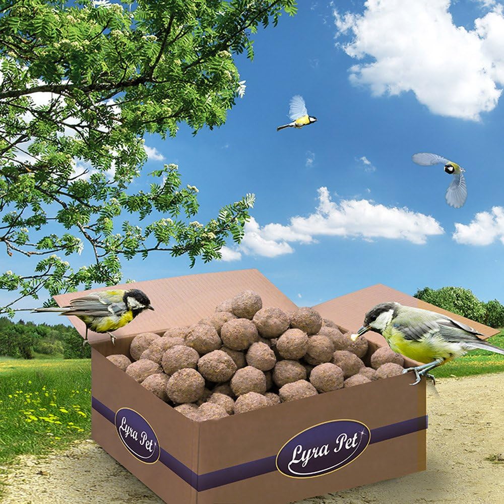 meisenknödel 200 ohne netz