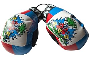 FNG MINI BOXING GLOVES Flag Mini Small Boxing Gloves to Hang Over Car Automobile Mirror – Americas