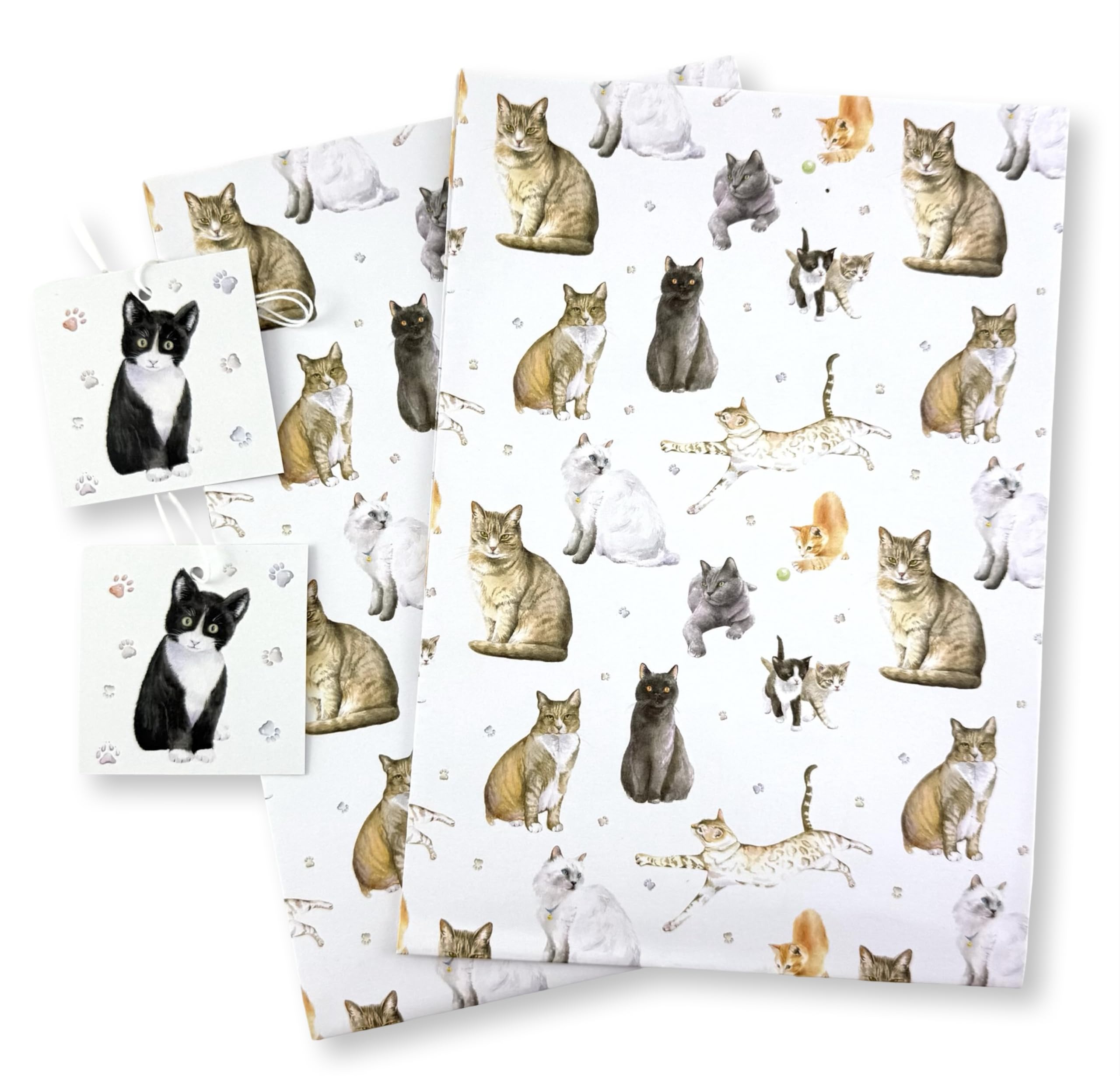 Cats and Kittens Recycled and Recyclable Gift Wrapping Paper, 2 sheets plus 2 gift tags - birthday - Mothers day - Father's Day - crafting