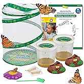 Insect Lore Butterfly Garden with 10 Live Baby Caterpillars - Habitat, Feeder, Chrys-A-Lid Holders, STEM Activity Journal - Raise and Release Painted Lady Butterflies