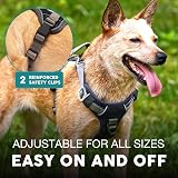 Embark Pets Urban Dog Harness No-Pull Front Back Clips Adjustable view 5