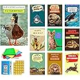 Imperial Designs 40 Pack Funny Punny Birthday Cards with Envelopes - 20 Unique Designs - Assorted Bulk Animal Birthday Cards for Kids, Office, Teacher - Greeting Cards (Medium, 4x6'', Blank Inside)
