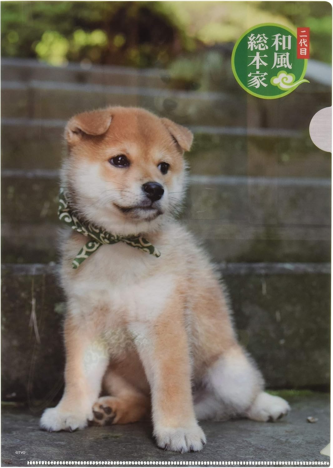 Amazon ハゴロモ 二代目和風総本家豆助 No 0 鉛筆キャップ 鉛筆ホルダー 文房具 オフィス用品