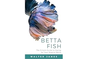 Betta Fish: The Simple Guide to Caring for Your Magical Betta