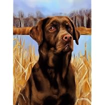 Reofrey 5D Diamond Painting Kit - Swimming Dog Full Drill, 40x40cm (16x16 Inch) DIY Art Craft