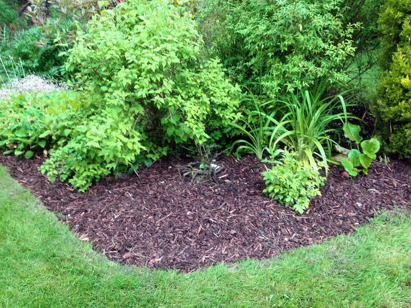 Melcourt 60 Litre Bag of Melcourts Spruce Ornamanetal Bark Mulch - New Bag Size!