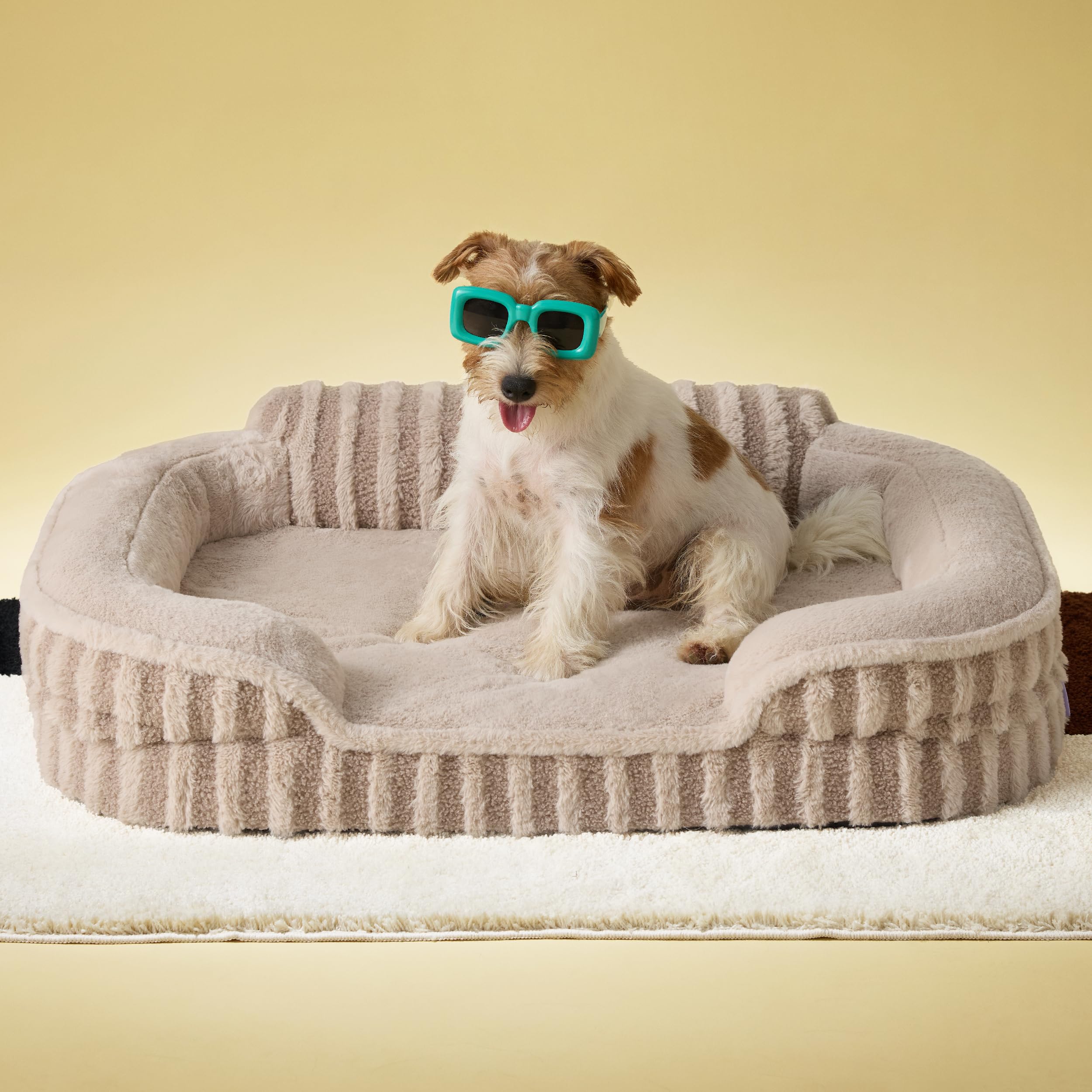 Photo 1 of just cover*___LE SURE Cute Dog Bed Medium Size Dog, Orthopedic Waterproof Medium Pet Beds with Sides, High Back Non-Slip Bottom and Egg-Crate Foam Pet Couch Sofa with Washable Removable Cover, Hazel