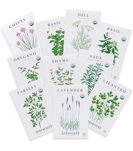 250 Stevia Sweetleaf Herb Seeds – Natural Sugar Plant – Perennial – Easy Grow – Indoor/Outdoor – 2025 Fresh Harvest – USA