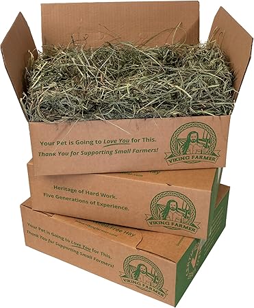orchard hay for rabbits