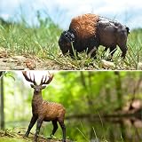 toymany 12PCS North American Forest Animal Figurines Realistic Toy Set view 4