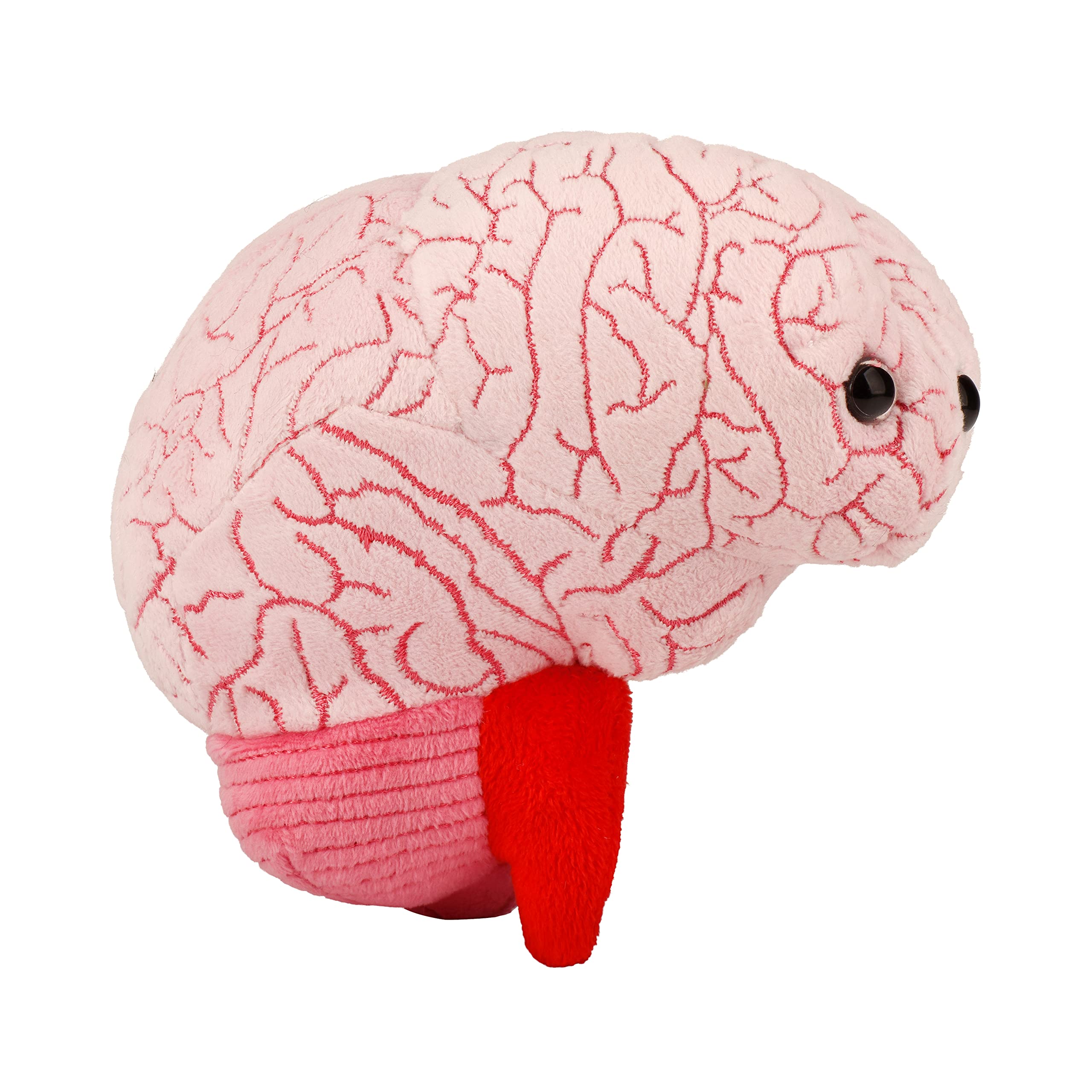 GIANT MICROBES Brain Organ Plush - Adorably Realistic Plush Brain Organ Educational Biology Gift, Great tool for Educators, Excellent Gift for Doctors, Nurses, Teachers, and Scientists