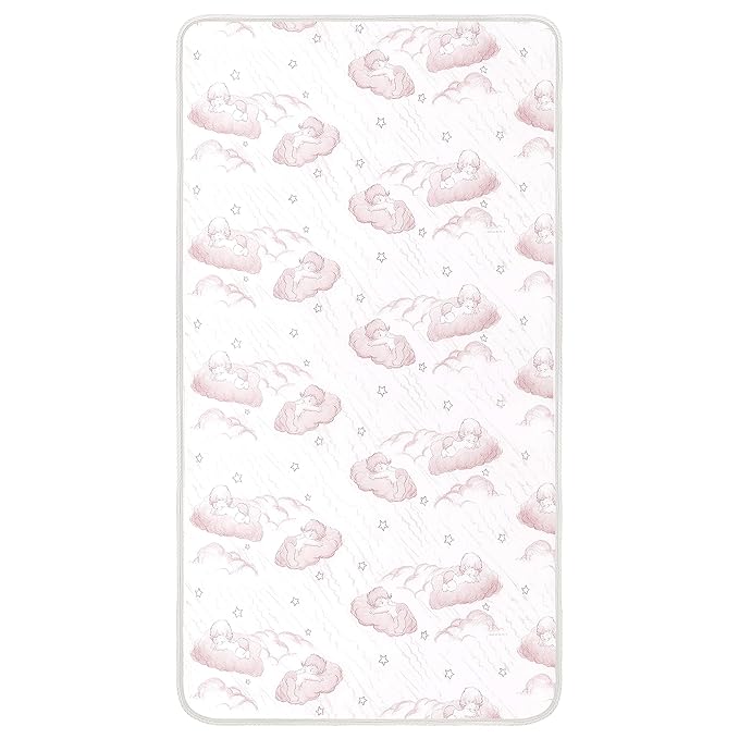 dream on me spring crib and toddler bed