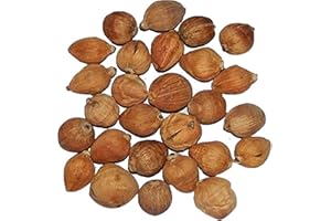 IS4A IndianStore4All Small Coconut 11 Pcs Laxmi Laghu Narilyal