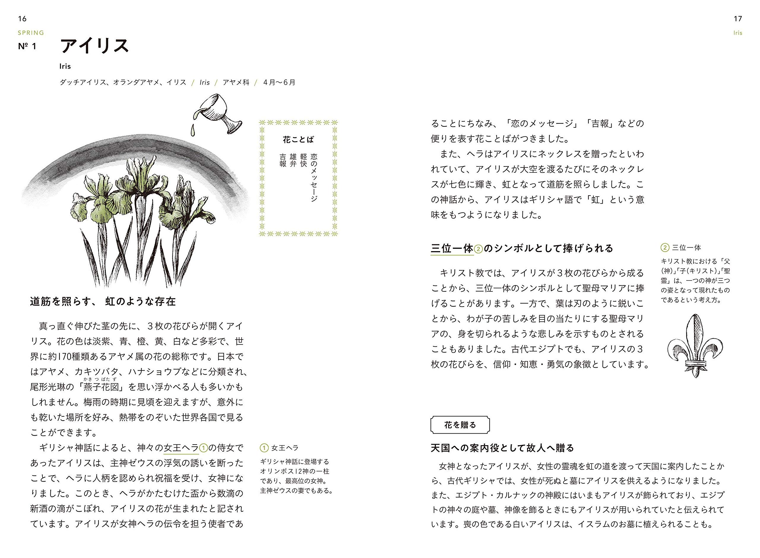 花のことば12ヶ月 川崎 景介 本 通販 Amazon