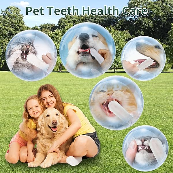 BORGOBRUFA DOG TEETH CLEANING WIPES, TEETH CLEANING FINGER WIPES FOR DOGS & CATS, DISPOSABLE NATURAL TEETH CARE WIPES GENTLE CLEANING & GUM CARE PET WIPES REDUCES PLAQUE & FRESHENS BREATH, 55 PCS