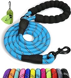 Taglory Rope Dog Leash 6 FT with Comfortable Padded