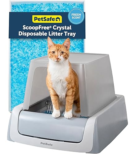Amazon.com : PetSafe ScoopFree Original Uncovered Ultra Self