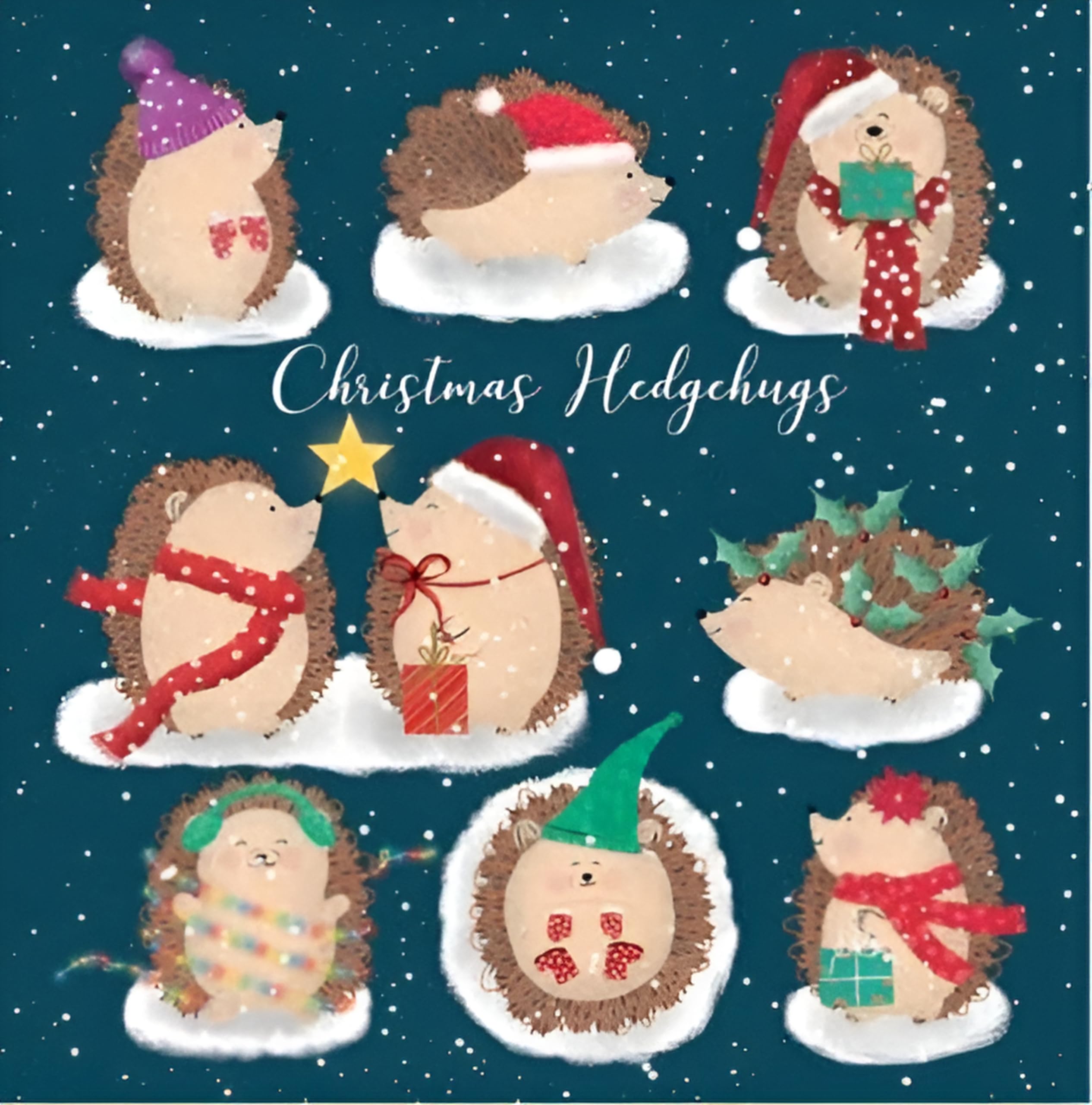 Noel Tatt Charity Christmas Cards Pack of 10 - Charity Christmas Cards with Snowy Hedgehogs Design - Eco-Friendly Xmas Cards Multipack with Envelopes