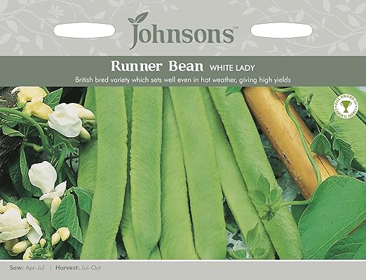 Johnsons UK/Jo/PB Runner Bean Blanco Lady: Amazon.es: Jardín