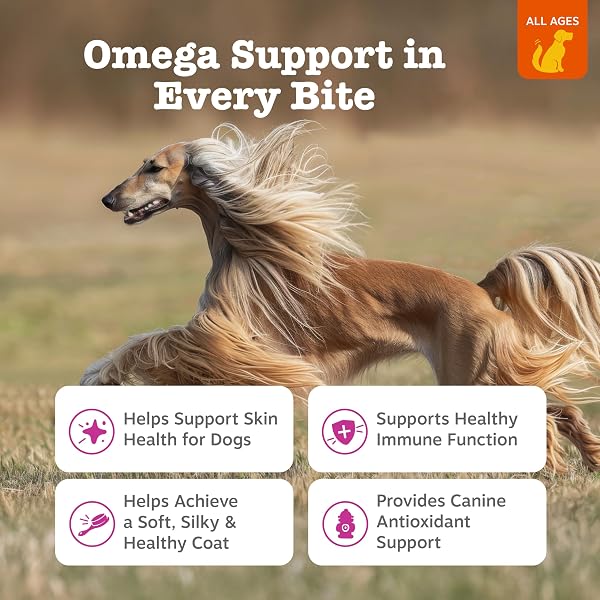 ZESTY PAWS OMEGA 3 FISH OIL FOR DOGS – ZESTY PAW DOG VITAMINS AND SUPPLEMENTS FOR HIP, JOINT & SKIN, BACON (90 CHEWS)