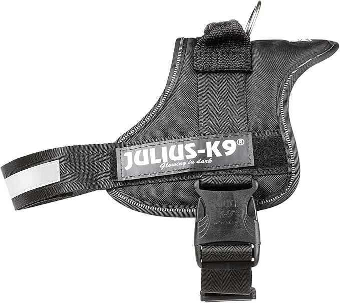 julius k9 beagle size