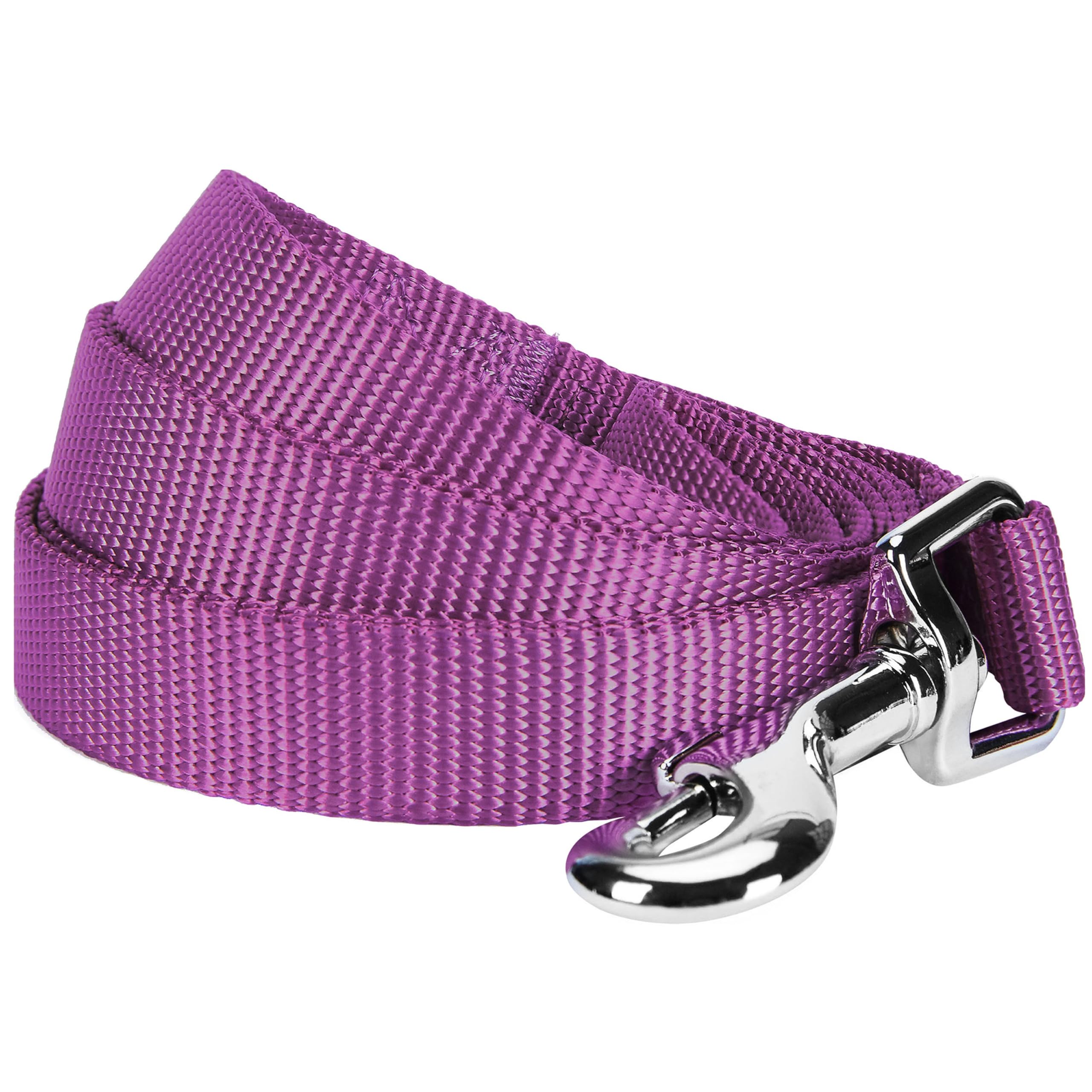 Blueberry Pet Durable Classic Solid Color Dog Lead 150 cm x 2cm in Violet, Medium, Basic Nylon Leads for Dogs, Matching Collar & Harness Available Separately