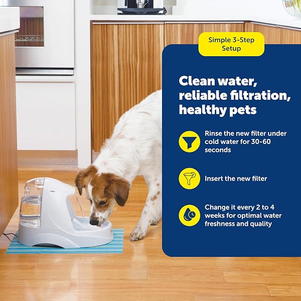 PETSAFE DRINKWELL REPLACEMENT CARBON FILTER, DOG AND CAT WATER FOUNTAIN FILTERS, PACK OF 3