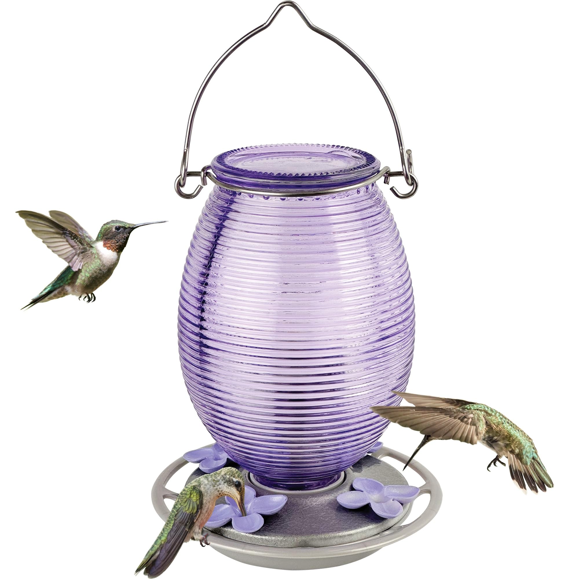 Photo 1 of (GLASS ONLY) Nature's Way Hanging Glass Hummingbird Feeder for Outdoor Decor, 29 Ounce Capacity Nectar Feeder, 4 Easy to Clean Flexible Ports, Purple Lilac