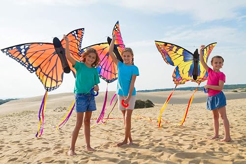 Cerf-Volant Papillon Rainbow 120 cm - HQ Kites | Prêt à voler Cerf-Volant Papillon Rainbow 120 cm - HQ Kites | Prêt à voler