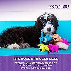 Multipet's Original Loofa Jumbo Dog Toy in Assorted