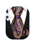 Barry.Wang Purple Gold Ties for Men Paisley Necktie