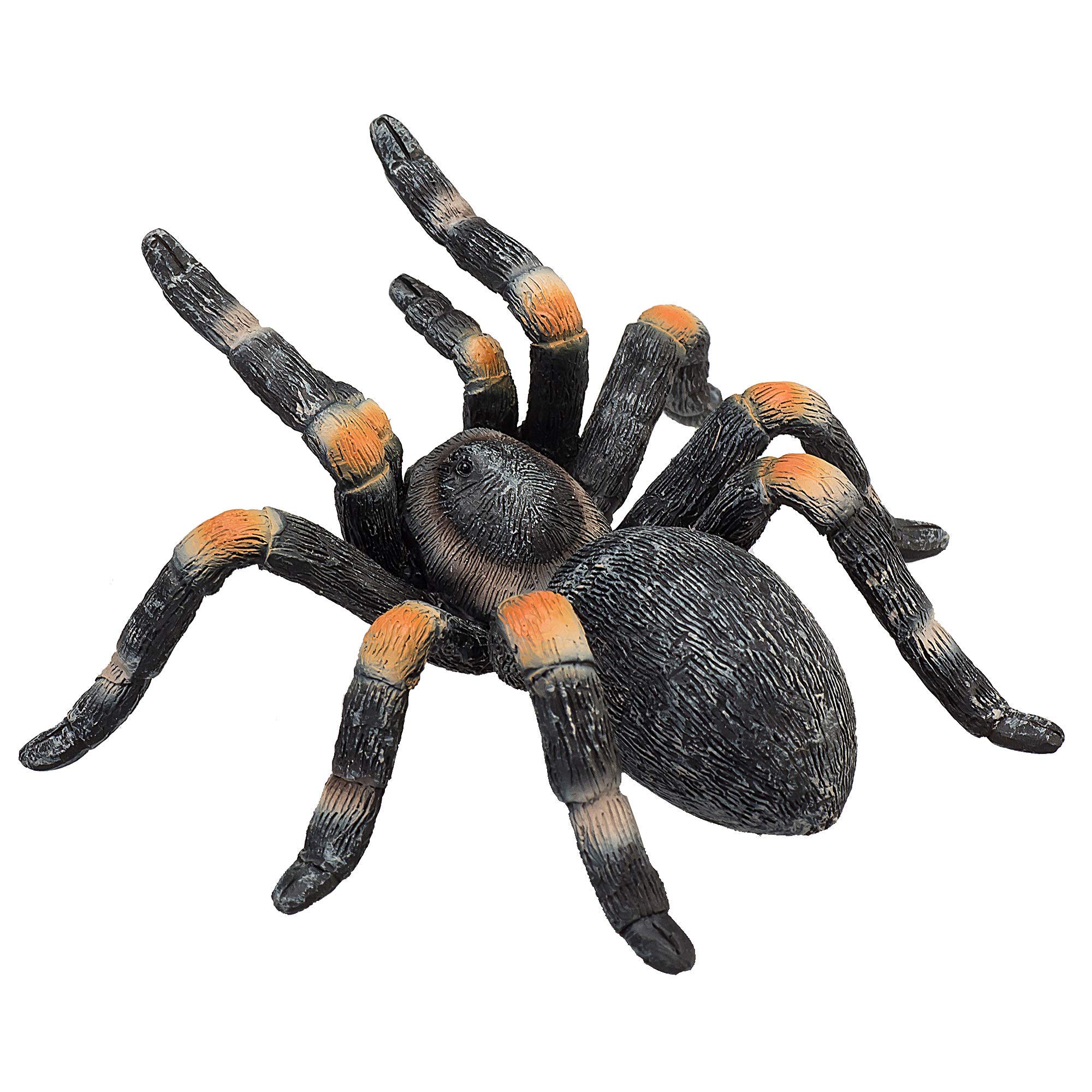 MOJO - Tarantula | Hand-Painted Toy Figure | Wildlife Collection | True to Life & Highly Detailed | Designed in UK
