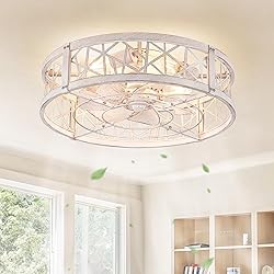 LEDIARY 20" Caged Ceiling Fan with Light, Small