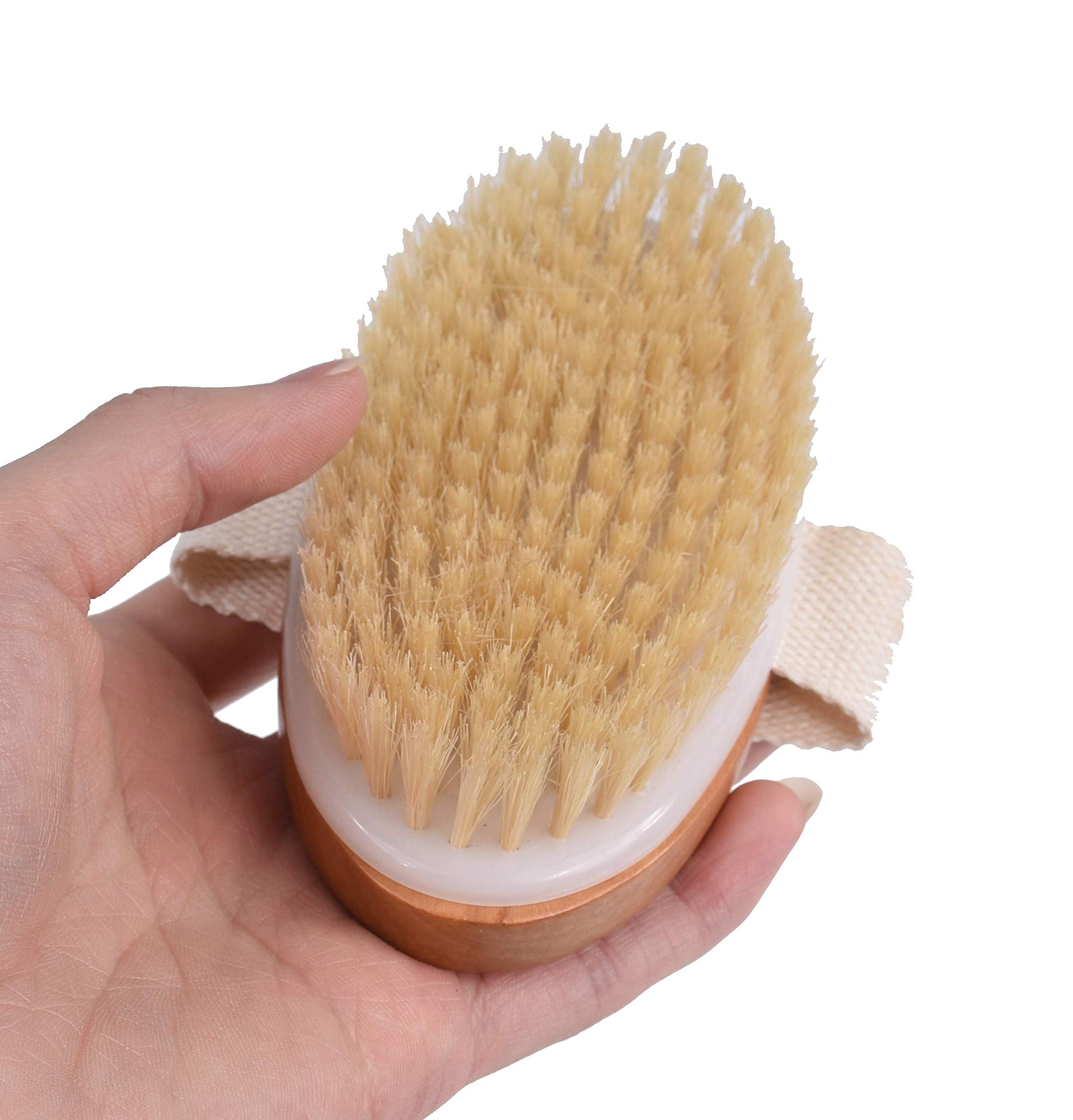 Dry Bath Body Brush Back Scrubber, Improves Skin\'s Health, 100% Natural Bristles Body Massager, Perfect for Exfoliating, Detox and Cellulite, Blood Circulation, Good for Health and Beauty