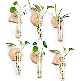 MITIME Wall Hanging Planter Glass Plant Propagation Station,Geometric Wooden Stand for Home Office Decoration.