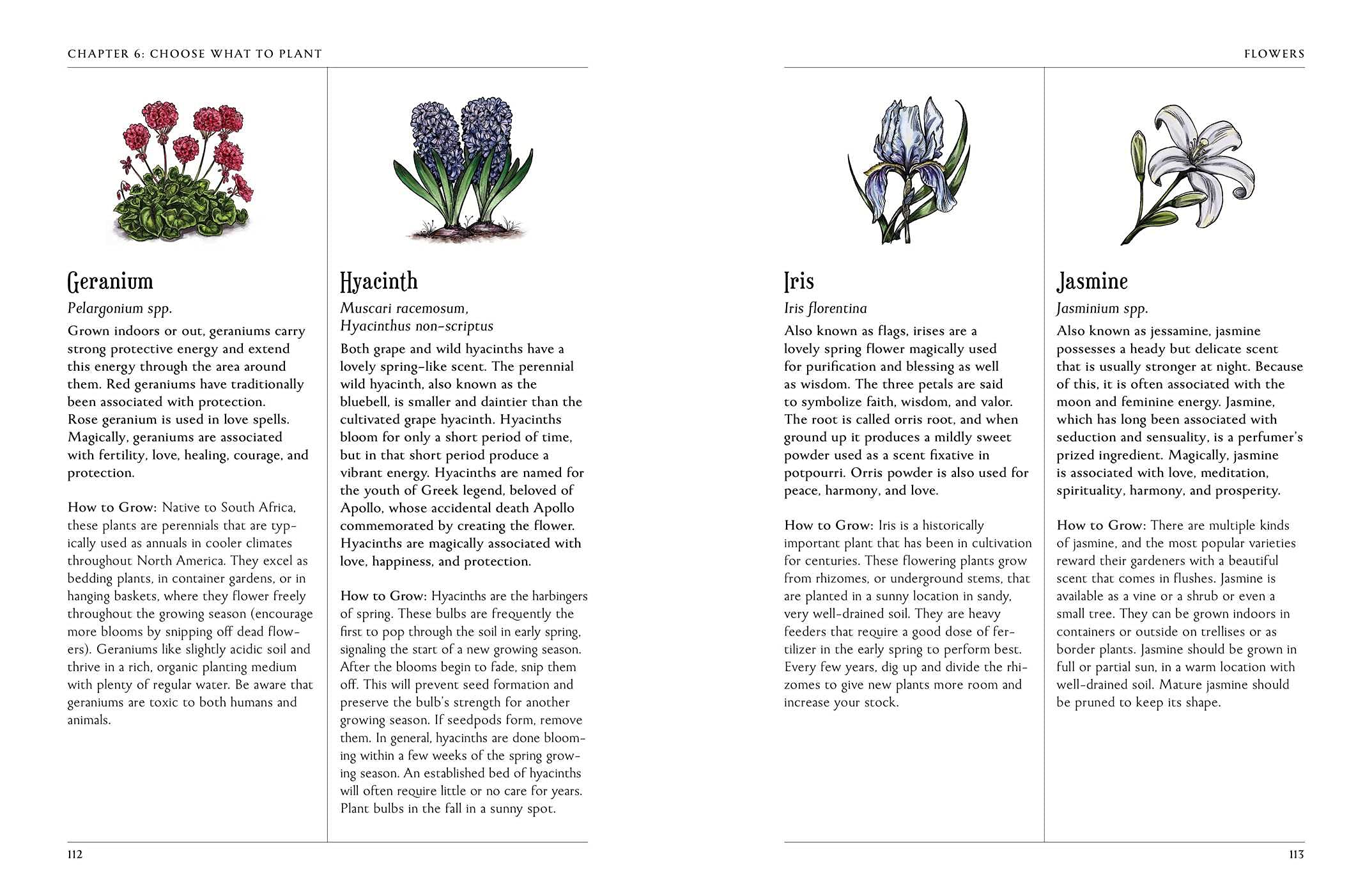 The Green Witch's Garden: Your Complete Guide to Creating and Cultivating a Magical Garden Space (Green Witch Witchcraft Series)