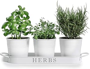 Barnyard Designs Herb Pot Planter Set with Tray for Indoor Garden or Outdoor Use, White Metal Succulent Potted Planters for Kitchen Windowsill, (Set of 3, 4.25” x 4” Planters on 12.5” x 4