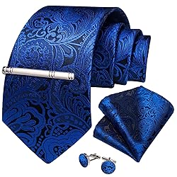 DiBanGu Silk Paisley Ties for Men Woven Necktie and
