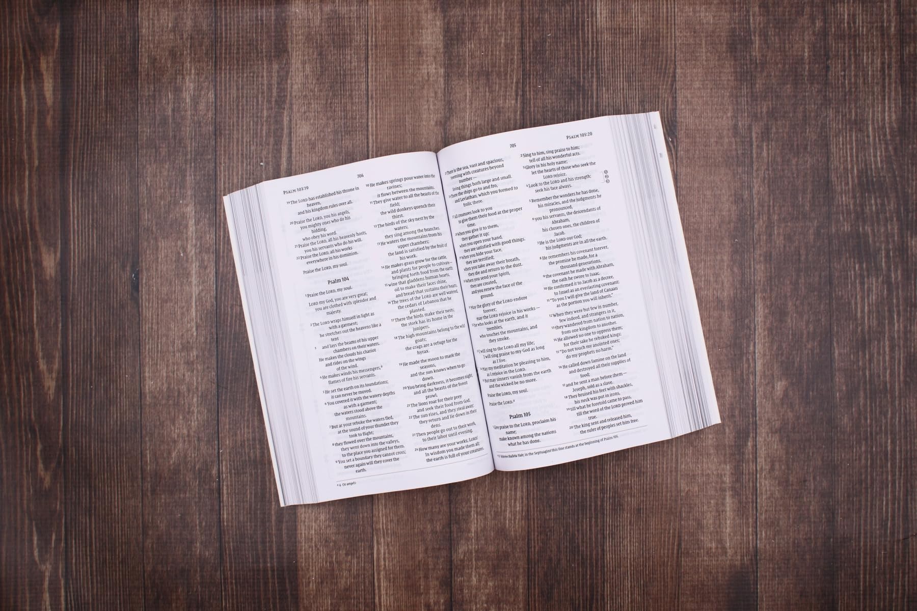 NIV, Celebrate Recovery Study Bible, Paperback, Comfort Print
