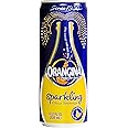 Orangina - Citrus Sparkling Juice Beverage - Light Pulp - Original Imported European French Recipe - No Artificial Ingredient