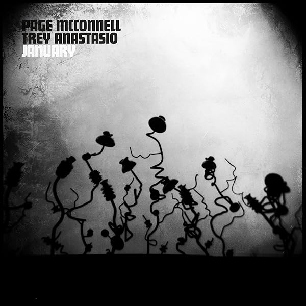 Amazon.com: Novemberism: CDs & Vinyl