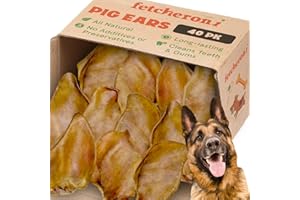 FETCHERONI Whole Pig Ears for German Shepherd - 40 Pack Long Lasting Dog Chews – Canine Treats Single Ingredient, Delicious All Natural Flavor – Easy to Digest Tasty Treats for Large Pets