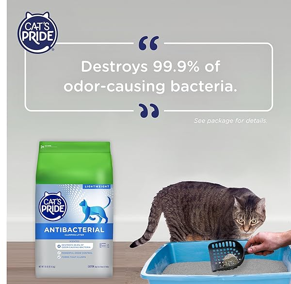CAT’S PRIDE NEW ANTIBACTERIAL CAT LITTER: DESTROYS 99.9% OF ODOR-CAUSING BACTERIA – POWERFUL ODOR CONTROL – PREMIUM LIGHTWEIGHT CLUMPING LITTER – SCENTED, 18 POUNDS