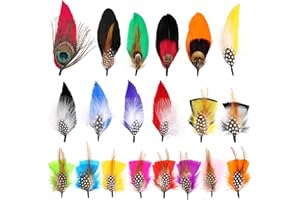 SendyFeather Hat Feathers 20 Styles Natural Assorted Feathers for Fedora Hats Accessories DIY Craft,Western Cowboy Hats,Christmas Party Hats,Oktoberfest Hats