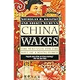 China Wakes: The Struggle for the Soul of a Rising Power