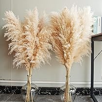 20Pcs Dherbe De Pampa Grande, 30-40Cm Herbe De Pampa Naturelle, Arrangement De Fleurs Séchées