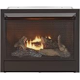 Duluth Forge Natural Gas Ventless Gas Fireplace Insert - 26,000 BTU, T-Stat Control - Model# FNF300T