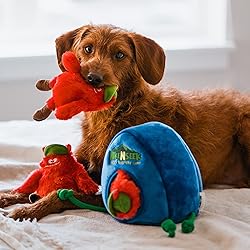 BULLTUG Hide and Seek Dog Toy