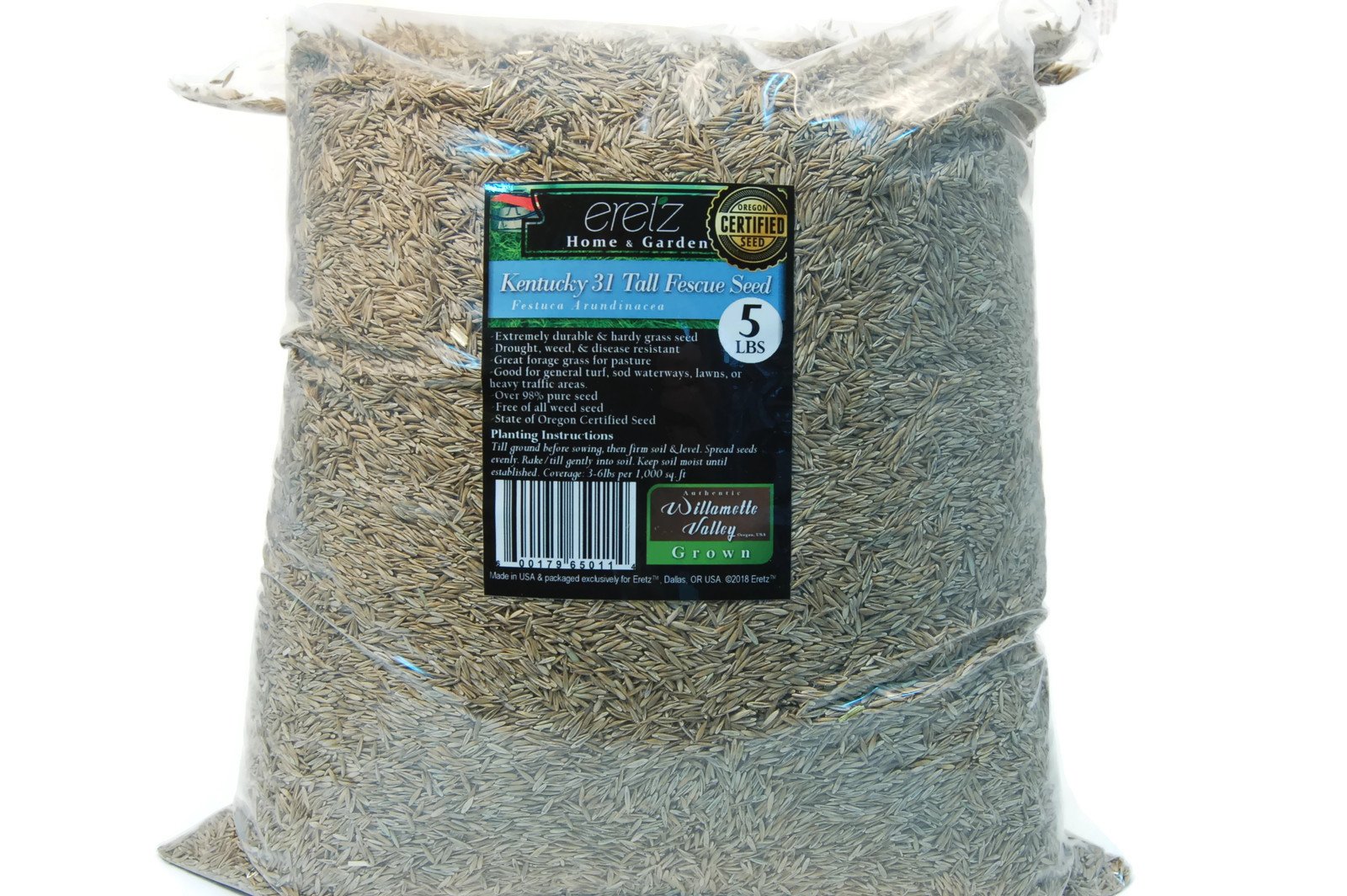 Planten, scheuten OR Grown Kentucky K31 Tall Fescue Grass Seed by Eretz
